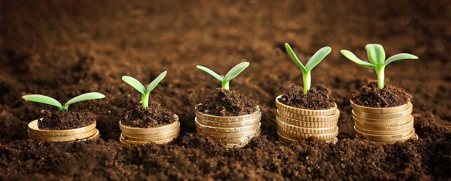 Coins in soil with young plant.