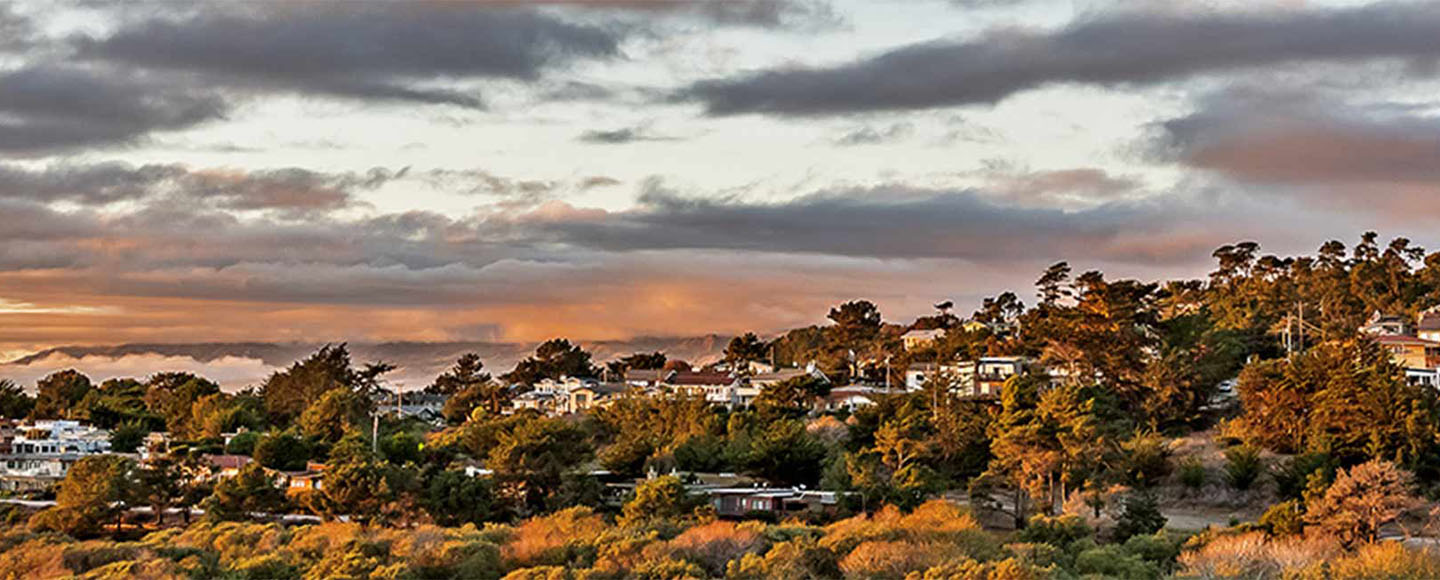 California hillside